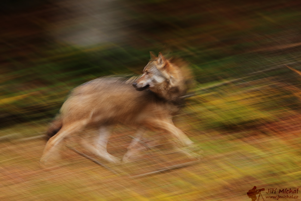 c5ri6777 20260301 1103400655