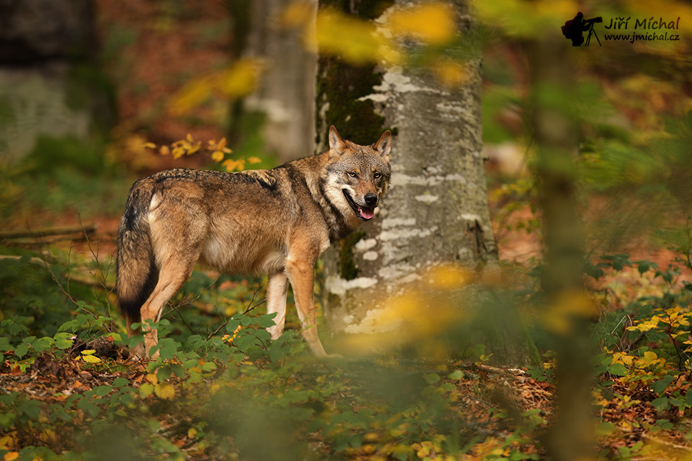 c5ri6709 20260301 1089878324