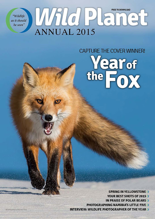 Free-Annual-Issue-2015