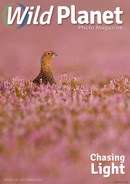 WPM October issue 48 cover