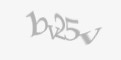 Bezpečnostní kód