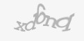 Bezpečnostní kód